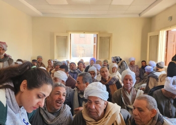 بالتعاون مع الخبراء اليابانيين.. تحسين الزراعة الموجهة للسوق فى ورشة عمل بسوهاج 17 - جريدة المساء