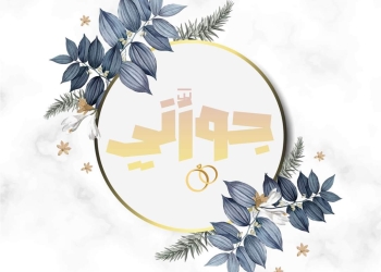 مبادرة مصرية لمساعدة الشباب على الإدارة المالية لعملية الزواج بأقل التكاليف 35 - جريدة المساء