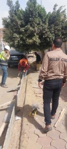 جهود حي العمرانية اليوم | تفتيش علي المستشفيات..رفع إشغالات..صيانة بالشوارع الرئيسية..ندوات بالمدارس والمساجد 90 - جريدة المساء