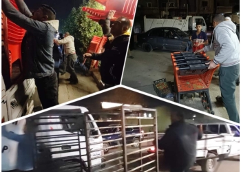 محافظة الجيزة: رفع 800 حالة إشغال للمحال والكافيهات بحدائق الأهرام 32 - جريدة المساء