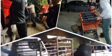 محافظة الجيزة: رفع 800 حالة إشغال للمحال والكافيهات بحدائق الأهرام 1 - جريدة المساء