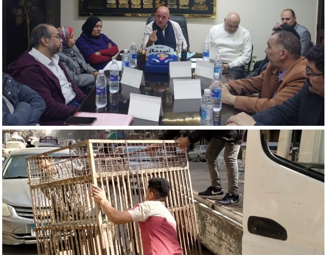 جهود حي العمرانية اليوم || انعقاد المجلس التنفيذى..رفع211 حالة إشغال ب9 شوارع..صيانة بالطرق 19 - جريدة المساء