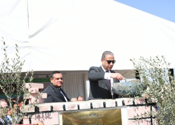 وزير التنمية المحلية ومحافظ الفيوم وممثلة الاتحاد الأوروبي يضعون حجر الأساس لمشروع المجمع الصناعي ومركز الخدمات المتكاملة للزيتون بيوسف من الصديق 26 - جريدة المساء