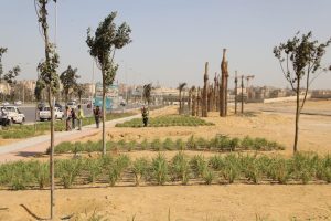 مراسم الافتتاح تقترب| محافظ الجيزة يتابع ميدانيا تطوير طريق الفيوم المؤدي إلي المتحف الكبير..والتسليم نهاية الشهر الجاري 53 - جريدة المساء