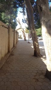 جهود حي العمرانية اليوم || مصادرة 11 توك توك للسير عكس الاتجاه..استمرار عمل"اهلا رمضان"بترعة الزمر..و230 سيدة من السكان يَهْتَمِمْنَ بتنظيم الأسرة وقواعد التربية الإيجابية 53 - جريدة المساء