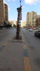 جهود حي العمرانية اليوم || مصادرة 11 توك توك للسير عكس الاتجاه..استمرار عمل"اهلا رمضان"بترعة الزمر..و230 سيدة من السكان يَهْتَمِمْنَ بتنظيم الأسرة وقواعد التربية الإيجابية 55 - جريدة المساء