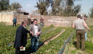 جامعة القناة تشارك في منافسات مسابقة" أفضل جامعة صديقة للبيئة" 26 - جريدة المساء