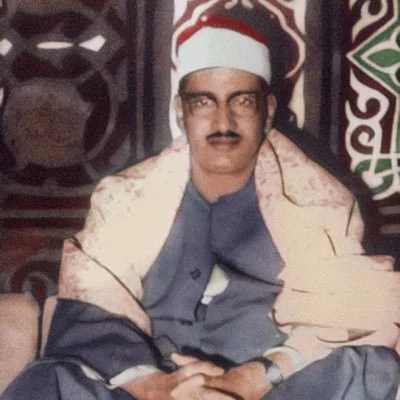 الشيخ محمد صديق المنشاوى