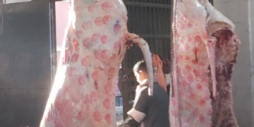 "بيطري المنيا" : يحرر 51 محضراً ويضبط طن لحوم غير صالحة خلال مارس الجارى 2 - جريدة المساء "بيطري المنيا" : يحرر 51 محضراً ويضبط طن لحوم غير صالحة خلال مارس الجارى 1 - جريدة المساء