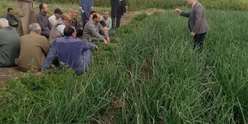 ندوات وقوافل زراعية ومدارس حقلية لتعزيز الوعى بممارسات الزراعة الحديثة في كفر الشيخ 2 - جريدة المساء ندوات وقوافل زراعية ومدارس حقلية لتعزيز الوعى بممارسات الزراعة الحديثة في كفر الشيخ 1 - جريدة المساء