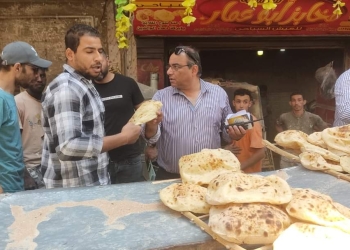 "الجيزة" تشن حملات علي أفران الخبز البلدي والسياحي بالوراق 21 - جريدة المساء