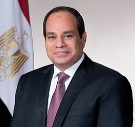 الاتحاد العام للمصريين في الخارج يهنئ الرئيس بحلف اليمين الدستورية لمدة رئاسية جديدة 21 - جريدة المساء