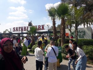 محافظة الجيزة: توزيع 150 ألف كيس قمامة مجانا علي رواد الحدائق والمتنزهات خلال عيد الفطر 32 - جريدة المساء