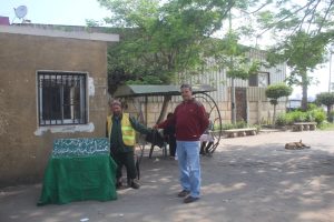 محافظة الجيزة: توزيع 150 ألف كيس قمامة مجانا علي رواد الحدائق والمتنزهات خلال عيد الفطر 36 - جريدة المساء