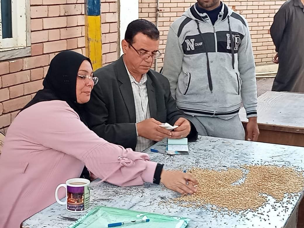 توريد 13 ألفًا و 836 طنًا من القمح في الدقهلية 19 - جريدة المساء