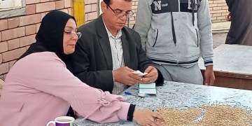 توريد 13 ألفًا و 836 طنًا من القمح في الدقهلية 1 - جريدة المساء