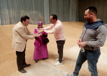 توريد ٥٠٣ طن قمح بالإسكندرية 25 - جريدة المساء