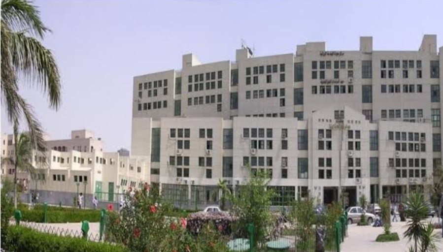 توصيات مهمة لندوة كلية الدراسات البيئية بعين شمس في اليوم العالمي للقضاء على الهدر 17 - جريدة المساء