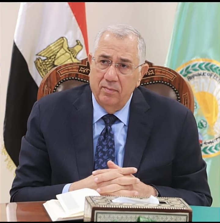 فتح أسواق المغرب وكندا أمام البطاطس والفراولة 19 - جريدة المساء