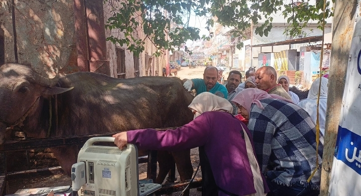 الزراعة : تنظيم قافلة بيطرية مجانية لمحافظة البحيرة ضمن مبادرة حياة كريمة 19 - جريدة المساء