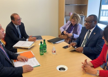 وزير المالية: الفجوة التمويلية بأفريقيا تؤدى إلى تراجع معدلات الاستثمارات التنموية 21 - جريدة المساء