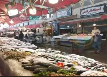 البورسعيدية نجحوا فى مقاطعة السمك واجبروا التجار إلى خفض الأسعار 28 - جريدة المساء