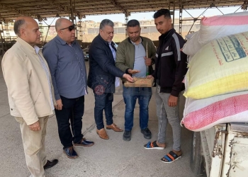 الذهب الأصفر يتلألأ في شرق وجنوب بورسعيد 33 - جريدة المساء