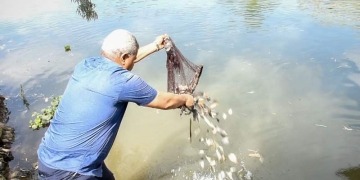 إطلاق مليون زريعة أسماك بلطي ومبروك ببحر أبو الأخضر بالشرقية 1 - جريدة المساء