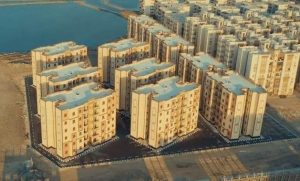 "دمياط" تحتفل بذكرى انتصارات الأجداد على جيوش الغزاة 27 - جريدة المساء