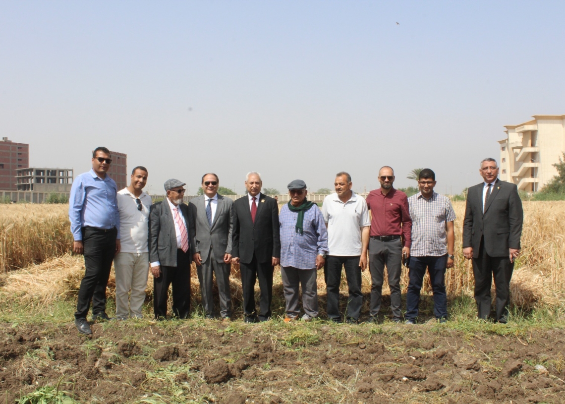 رئيس جامعة المنيا يفتتح موسم حصاد سُلالات القمح عالية الإنتاجية 18 - جريدة المساء