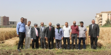 رئيس جامعة المنيا يفتتح موسم حصاد سُلالات القمح عالية الإنتاجية 1 - جريدة المساء