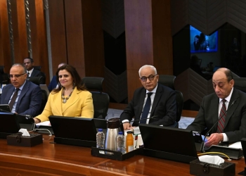 وزيرة الهجرة : شهر سماح لاستكمال إجراءات الدفع في مبادرة سيارات المصريين بالخارج 29 - جريدة المساء