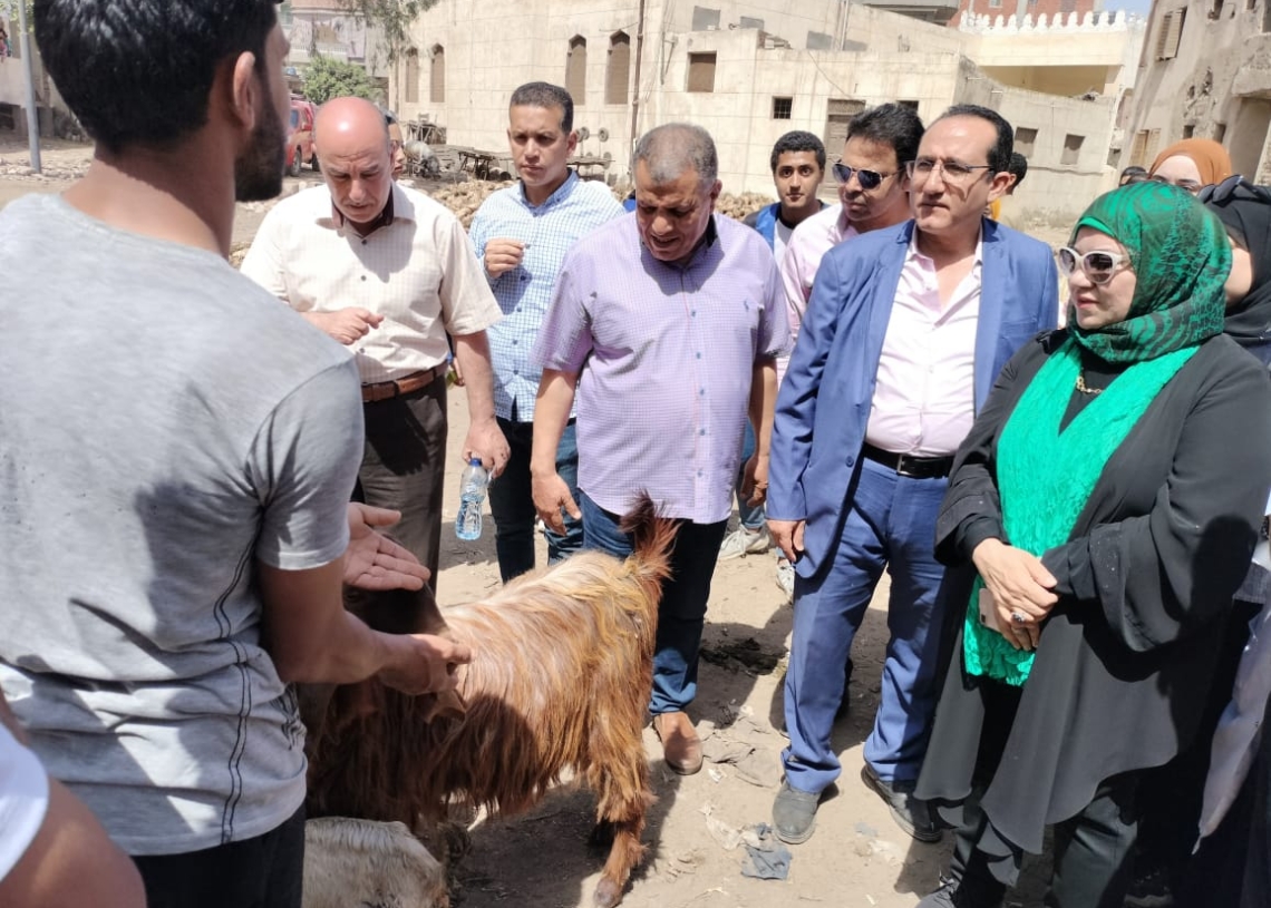 جامعة كفر الشيخ أطلقت قافلة بيطرية لقرية صندلا 19 - جريدة المساء