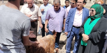 جامعة كفر الشيخ أطلقت قافلة بيطرية لقرية صندلا 1 - جريدة المساء