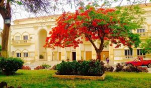 احتفالات شم النسيم.. من أسوان إلى بلطيم 33 - جريدة المساء