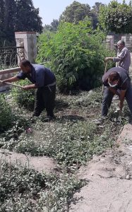 احتفالات شم النسيم.. من أسوان إلى بلطيم 61 - جريدة المساء