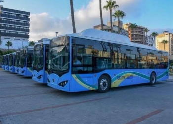 لأول مرة.. أتوبيس نقل عام من محطة الرمل لمطار برج العرب 17 - جريدة المساء