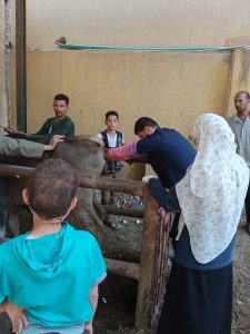 "بيطري الجيزة" تعالج 1040 طائرا و255 رأس حيوان خلال قافلة مجانية بأبو النمرس 28 - جريدة المساء