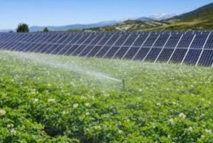 الجمهورية الجديدة.. بأساليب رى حديثة 40 - جريدة المساء الجمهورية الجديدة.. بأساليب رى حديثة 39 - جريدة المساء