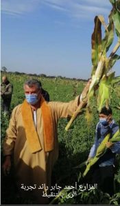 الجمهورية الجديدة.. بأساليب رى حديثة 28 - جريدة المساء الجمهورية الجديدة.. بأساليب رى حديثة 27 - جريدة المساء