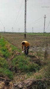 الجمهورية الجديدة.. بأساليب رى حديثة 42 - جريدة المساء الجمهورية الجديدة.. بأساليب رى حديثة 41 - جريدة المساء