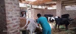 جامعة جنوب الوادي تنظم قافلة شاملة بقرية الأشراف الشرقية 34 - جريدة المساء