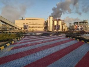 دعوة الرئيس بالتوسع فى زراعة البنجر.. تلقى قبول المزارعين 30 - جريدة المساء