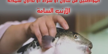 صحة اسيوط تحذر المواطنين من تناول سمكة الأرنب السامة.. ليس لها علاج وتؤدي للموت.. 10 - جريدة المساء صحة اسيوط تحذر المواطنين من تناول سمكة الأرنب السامة.. ليس لها علاج وتؤدي للموت.. 9 - جريدة المساء