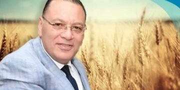 توريد 511 ألف طن قمح لصوامع وشون الشرقية 1 - جريدة المساء