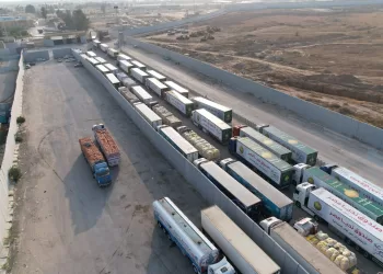 صندوق تحيا مصر يدخل قافلته الخامسة لقطاع غزة