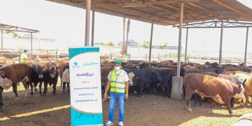 طرح صك الأضحية بقسط شهرى 540جنيه لزيادة أعداد المستفيدين ببني سويف 1 - جريدة المساء