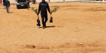 محافظ أسوان : تكثيف أعمال زيادة المسطحات الخضراء بزراعة الأشجار بالطرق والشوارع لخلق متنفس حيوى للمواطنين والأفواج السياحية 1 - جريدة المساء