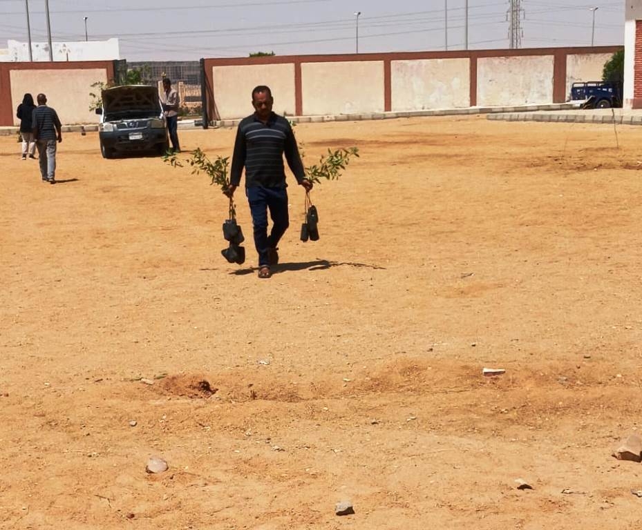 محافظ أسوان : تكثيف أعمال زيادة المسطحات الخضراء بزراعة الأشجار بالطرق والشوارع لخلق متنفس حيوى للمواطنين والأفواج السياحية 19 - جريدة المساء