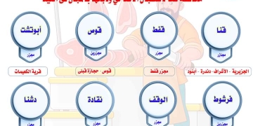 فتح 13 مجزرًا لاستقبال الأضاحى وذبحها بالمجان فى قنا 1 - جريدة المساء